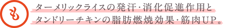ターメリックライスの発汗・消化促進作用とタンドリーチキンの脂肪燃焼効果・筋肉UP。
